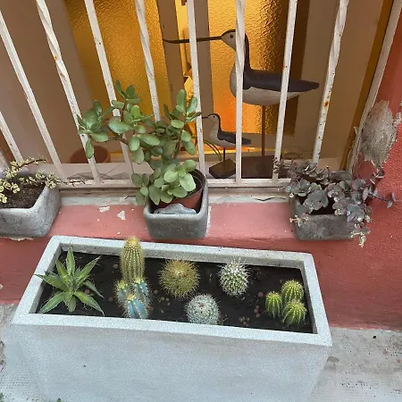 Apartman Joli 29m2 En Vieille 2 Mins De La