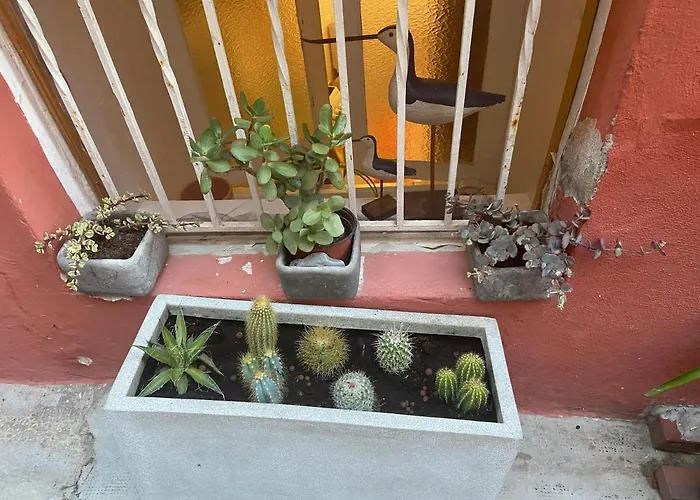 Апартаменти Joli 29m2 En Vieille 2 Mins De La